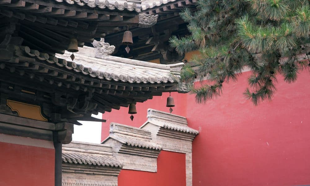 CTH_BLOG_10.25_UNSPLASH (Datong)