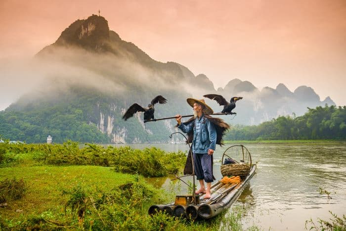 Highlight in Yangshuo: Ein Kormoran bei der Arbeit