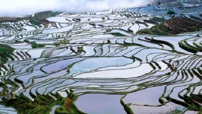 Reisterrassen Yunnan, Copyright Xinhua