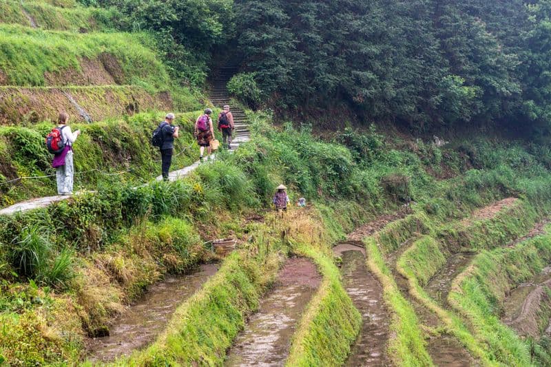 Reisterrassen Longshen